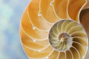 Leading the transition to a Customer First Culture